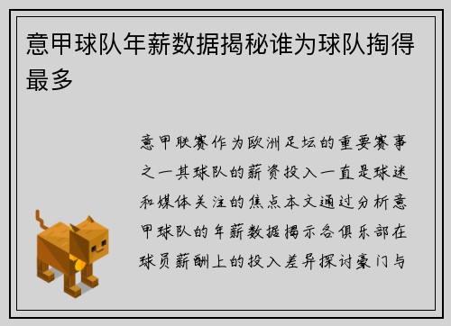 意甲球队年薪数据揭秘谁为球队掏得最多